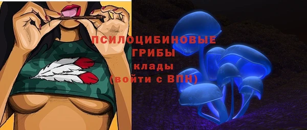 тгк Лагань