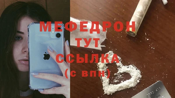 тгк Лагань