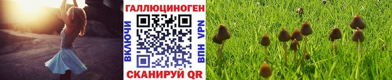 Псилоцибиновые грибы мицелий  Купить закладки  Тетюши 